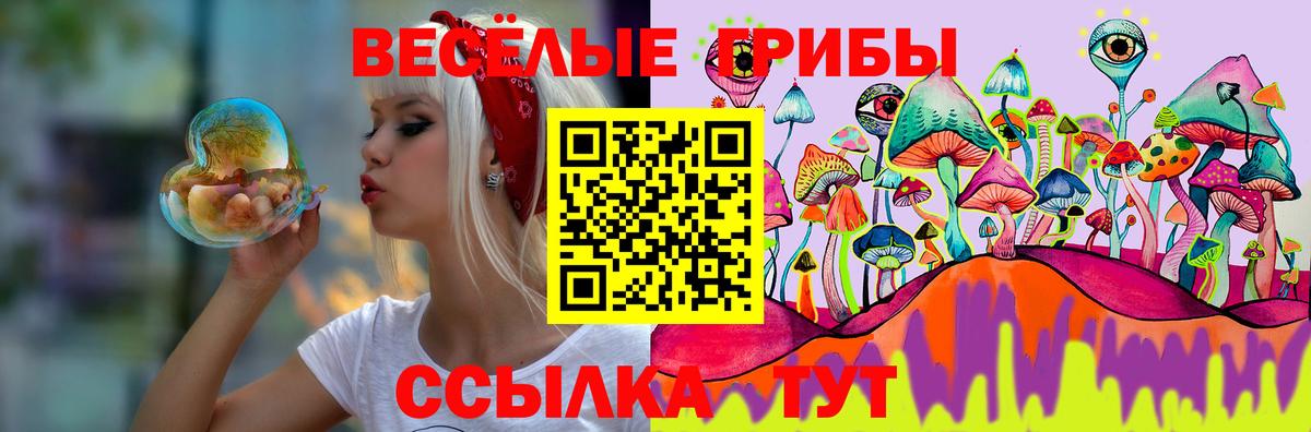 Галлюциногенные грибы прущие грибы  Галлюциногенные грибы Cubensis  Улан-Удэ  Вход с VPN 
